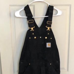 Insulate Carhartt overalls 32x34